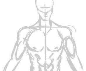 Male body illustration