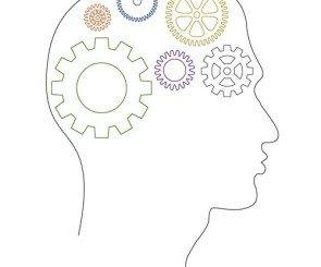 Cogs in the brain infograph